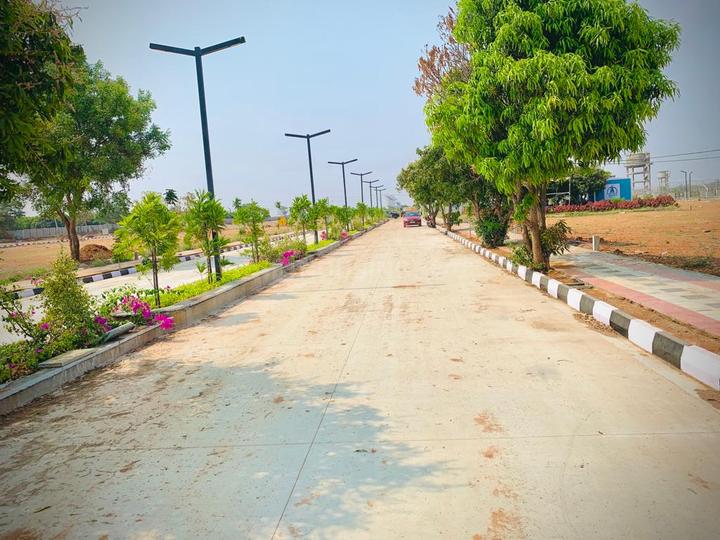 Sunrise Sez City Main Image 1