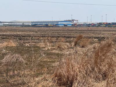 Image of 1089 Sq.ft Residential Plot / Land for sale in Invest Mahamumbai Plots In Khopate, Khopate, Raigad for Rs. 536000