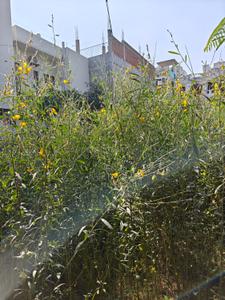 Image of 1200 Sq.ft Residential Plot / Land for sale in Susuwahi, Varanasi for Rs. 6700000