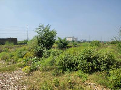 Image of 540 Sq.ft Residential Plot / Land for sale in Bhanauta, Greater Noida for Rs. 2111500