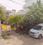 Railway Colony, Charbagh Plot View 2
