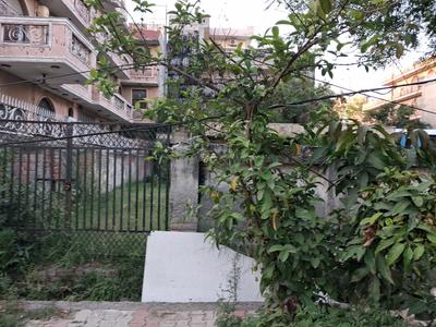 Block D Plot View 2