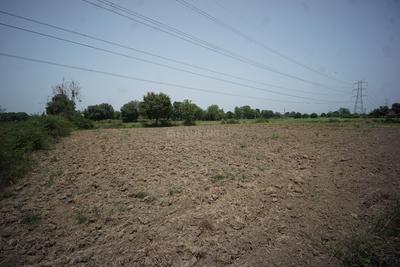 Image of 5233 Sq.ft Residential Plot / Land for sale in Dahegam, Gandhinagar for Rs. 23100000
