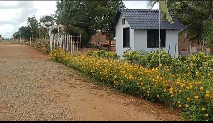 Say associates Main Image 1