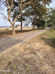 Danapur Plot View 2