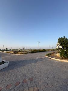 Riyasat heritage Plot View 2