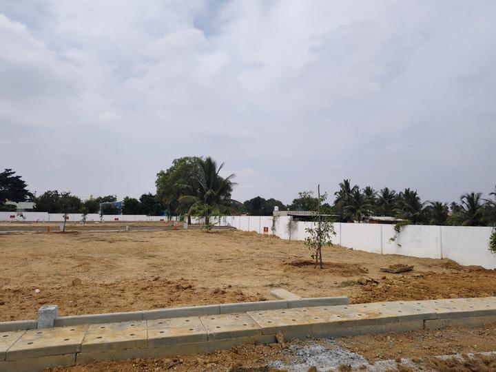 Ruby Sizzle Heritage Main Image 1