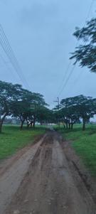 Image of 9157 Sq.ft Residential Plot / Land for sale in Silicon City, Indore for Rs. 36600000