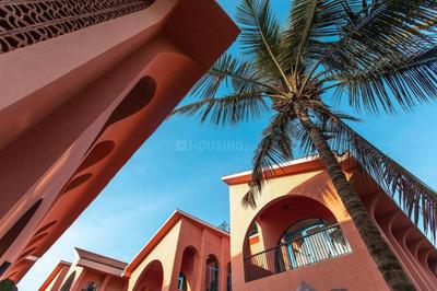 Image of 2820 Sq.ft 3 BHK Villa for rent in Mandrem, Goa for Rs. 250000