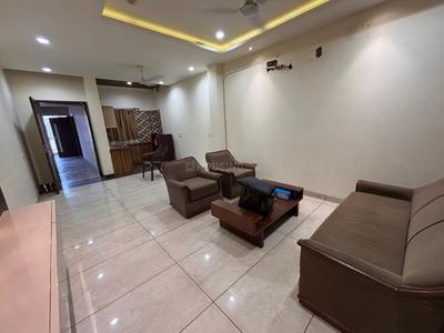 Hall Image of 800 Sq.ft 1 BHK Apartment / Flat for rent in Model Town Ludhiana for Rs. 16000
