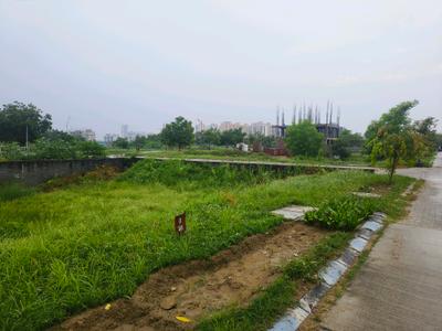 Residential Plot