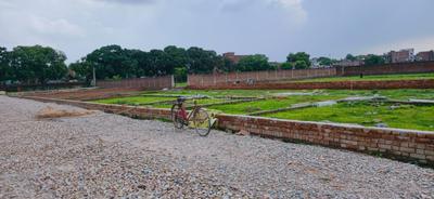 Barai Plot View 2