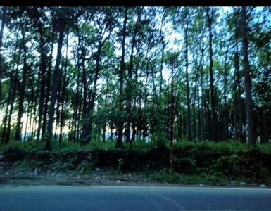 Image of 1765 Sq.ft 3.5 BHK Apartment / Flat for sale in Ladpur, Dehradun for Rs. 9800000