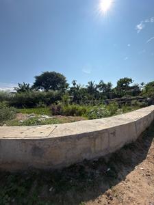 Azara Plot View 2