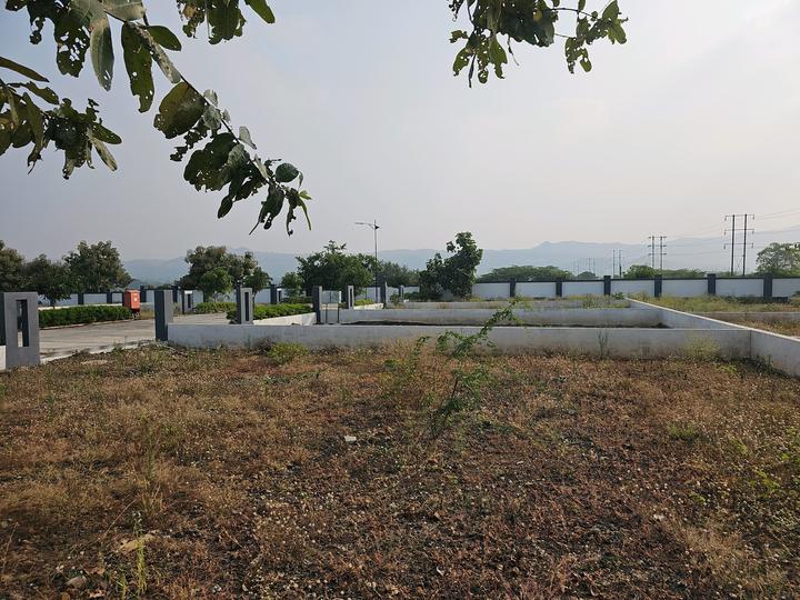 Uruli Kanchan Main Image 1