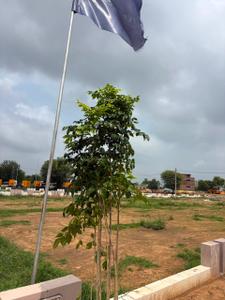 Greens Plot View 3