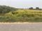 Yeida Plot View 2