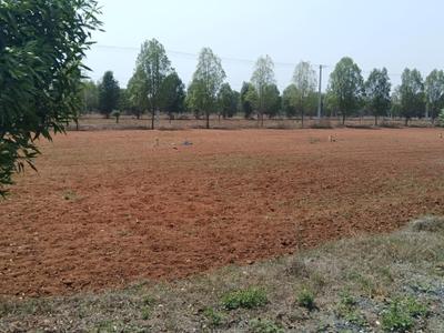Image of 2000 Sq.ft Residential Plot / Land for sale in BV Nagar, Nellore for Rs. 1080000
