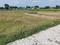 Dasna Plot View 1