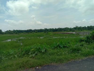 Residential plot Sonarpur Plot View 2