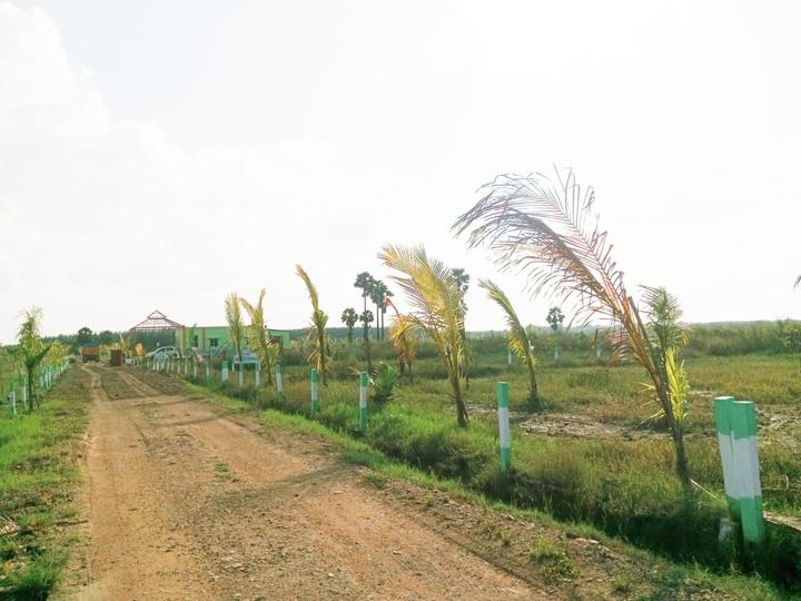 Nenmeli, Chengalpattu Main Image 1