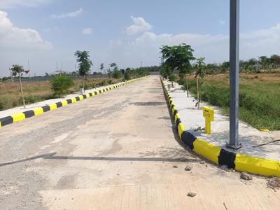 Western County Plot View 2