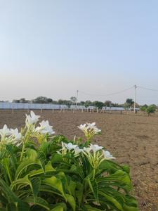 Image of 5000 Sq.ft 2 BHK Farm House for sale in Phanda Kala, Bhopal for Rs. 3800000