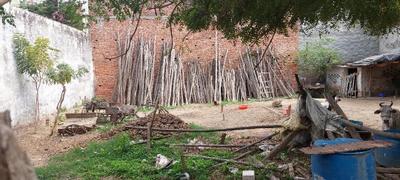 Image of 1755 Sq.ft Residential Plot / Land for sale in Preeti Nagar, Lucknow for Rs. 5265000