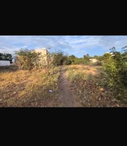 Veera nagar Plot View 2
