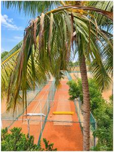 Image of 1100 Sq.ft 2 BHK Builder Floor for rent in Kalapatti, Coimbatore for Rs. 20000
