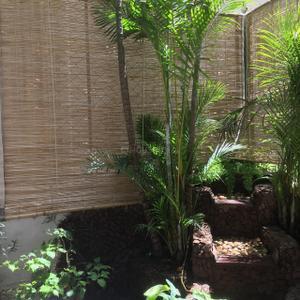 Balcony Image of 1850 Sq.ft 3 BHK Apartment / Flat for rent in Jayamahal Bengaluru for Rs. 85000