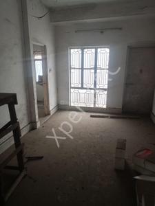 Hall Image of 3147 Sq.ft 4 BHK Independent House for sale in Huzur Bhopal for Rs. 29344000