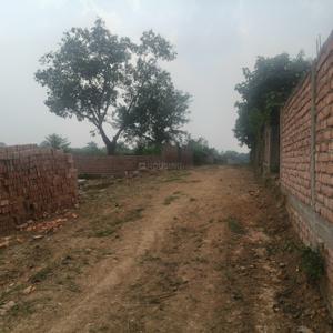 Danapur Nizamat Plot View 2