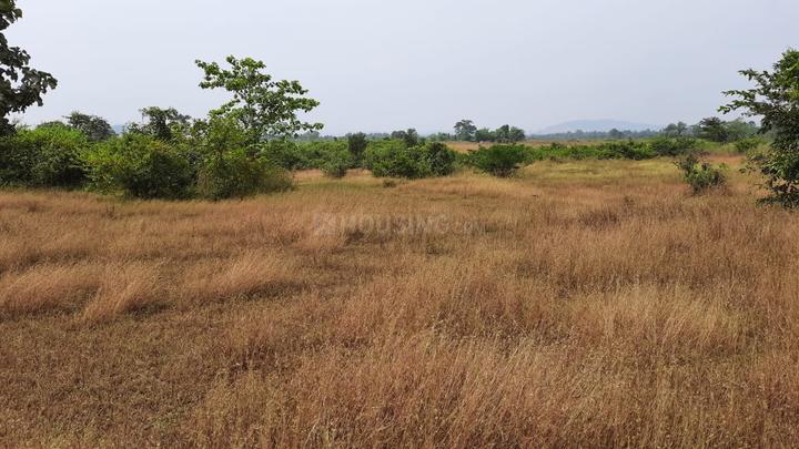 Palaspa Main Image 1