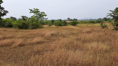 Palaspa Plot View 1