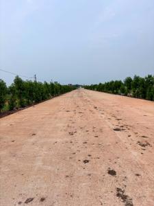 Image of 1250 Sq.ft Residential Plot / Land for sale in Old Dhamtari Road, Raipur for Rs. 3125000