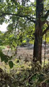 Image of 291 Sq.ft Residential Plot / Land for sale in Kadamba, Goa for Rs. 18900000
