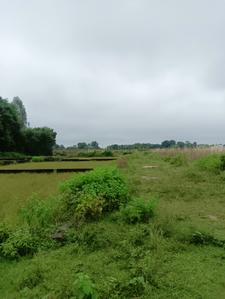 Bijnor More Images 2