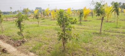 Image of 9600 Sq.ft Residential Plot / Land for sale in Walajabad, Chennai for Rs. 2496000