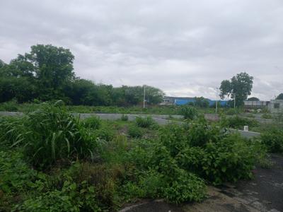 Phase 3 Plot View 2