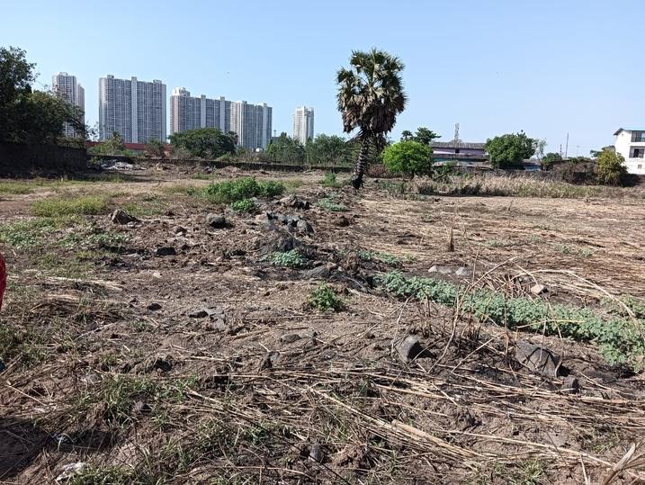 Palaspa Main Image 1