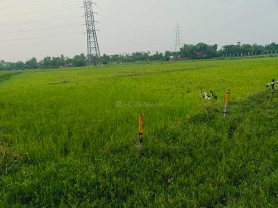 Sonarpur Plot View 2