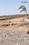 Fedara Plot View 2