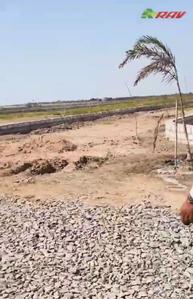 Fedara Plot View 2