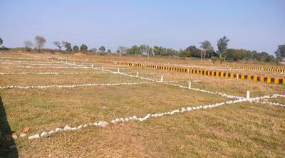 Bihta Plot View 2