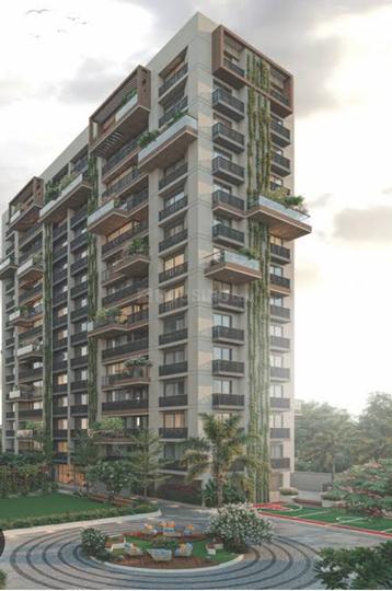 Primula Suryam Primrose Main Image 1