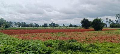 Devanahalli Plot View 2