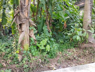 Image of 1082 Sq.ft Residential Plot / Land for sale in Uluberia, Howrah for Rs. 700000