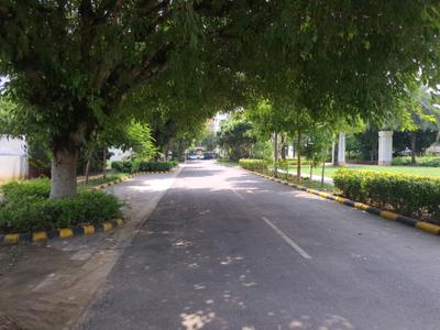Image of 538 Sq.ft Residential Plot / Land for sale in DLF Alameda, Sector 73, Gurgaon for Rs. 180000000