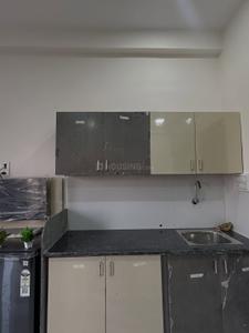 Kitchen Image of 450 Sq.ft 1 RK Builder Floor for rent in Scheme No 113 Indore for Rs. 14500